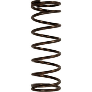 0345171 MOLLA VALVOLA TERMOSTATICA