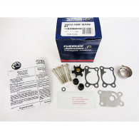 0396644 KIT POMPA 4/8HP