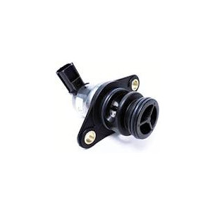 897526T VALVOLA ARIA IAC
