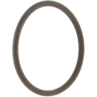 0124369 SEAL-FUEL FILTER