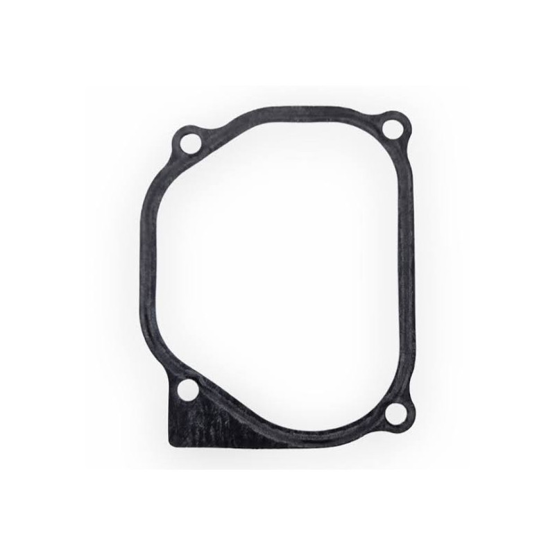  Guarnizione Testata Evinrude Johnson BRP 5033345
