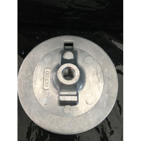 ANODO PINNA 