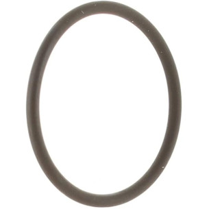 0124369 SEAL-FUEL FILTER