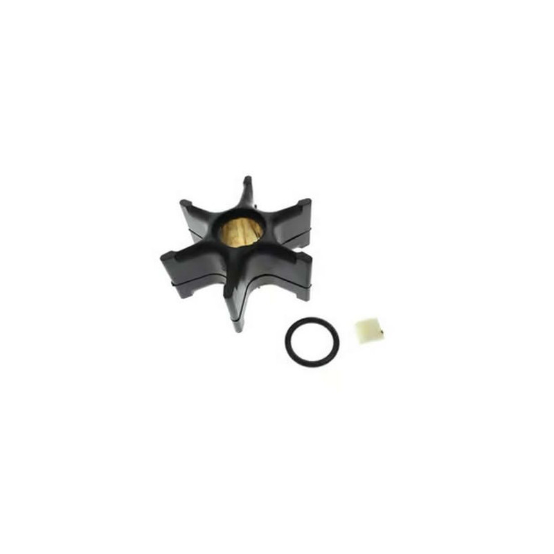 5011603 GIRANTE evinrude e-tec  G2