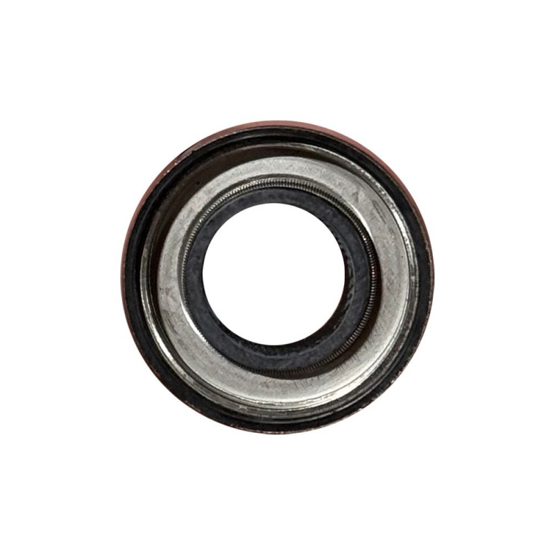 318972 PARAOLIO