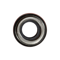 318972 PARAOLIO