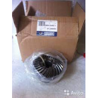 5001586 GEARSET,CORO-MAGNM g1