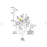 5036152 CUSCINETTO SUP PIEDE JOHNSON V6 4T