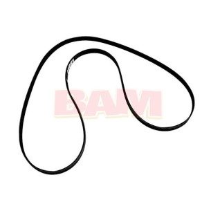8M0087881 CINGHIA Mercruiser 57-8M0087881 Serpentine Belt 1409 mm