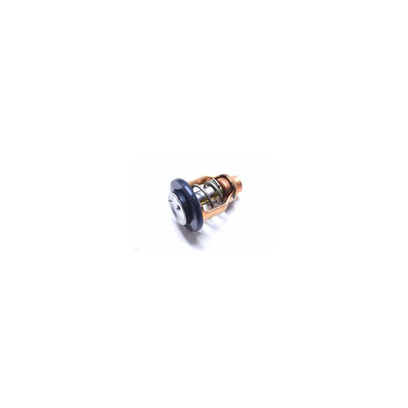 881429 VALVOLA TERMOSTATICA PER 115 EFI