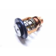 881429 VALVOLA TERMOSTATICA PER 115 EFI