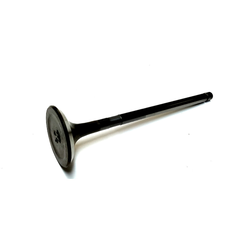892733 VALVE-EXHAUST