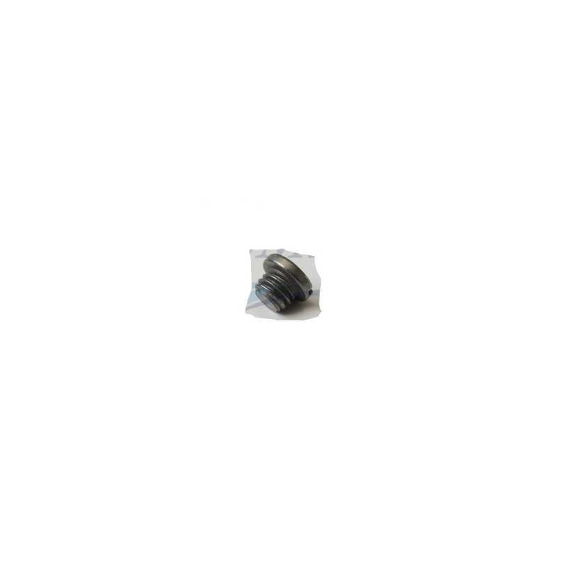 5030094 Vite olio piede 4T Johnson, Evinrude BRP 5030094
