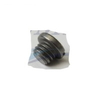 5030094 Vite olio piede 4T Johnson, Evinrude BRP 5030094