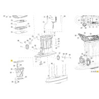 0360835 GUARNIZIONE MARMITTA EVINRUDE G2 CROWE