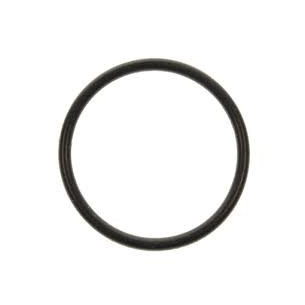 0331188 O'RING CORPO POMPA 0331188
