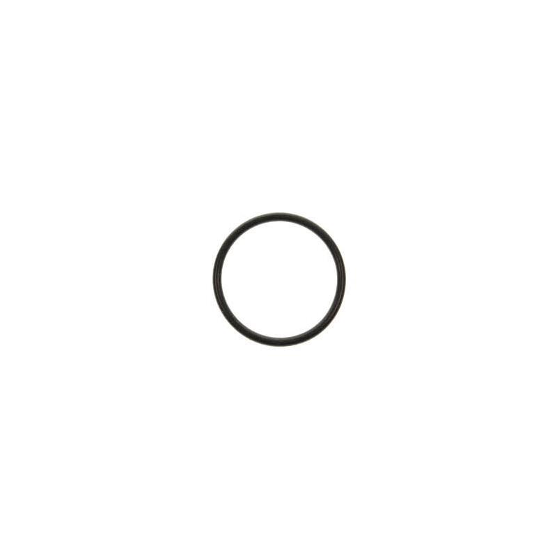 0331188 O'RING CORPO POMPA 0331188