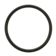 0331188 O'RING CORPO POMPA 0331188