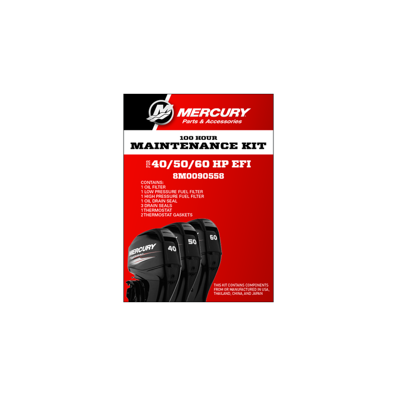 KIT MANUTENZIONE 100 ORE PER MOTORI 40/60 EFI