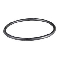 O'RING COPERCHIO TERMOSTATO