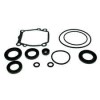KIT PARAOLIO PIEDE JOHNSON