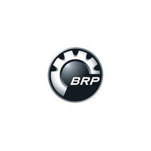 0217004 LOGO BRP (NUOVO)