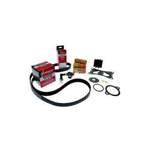 SERV KIT-300 HRS V8