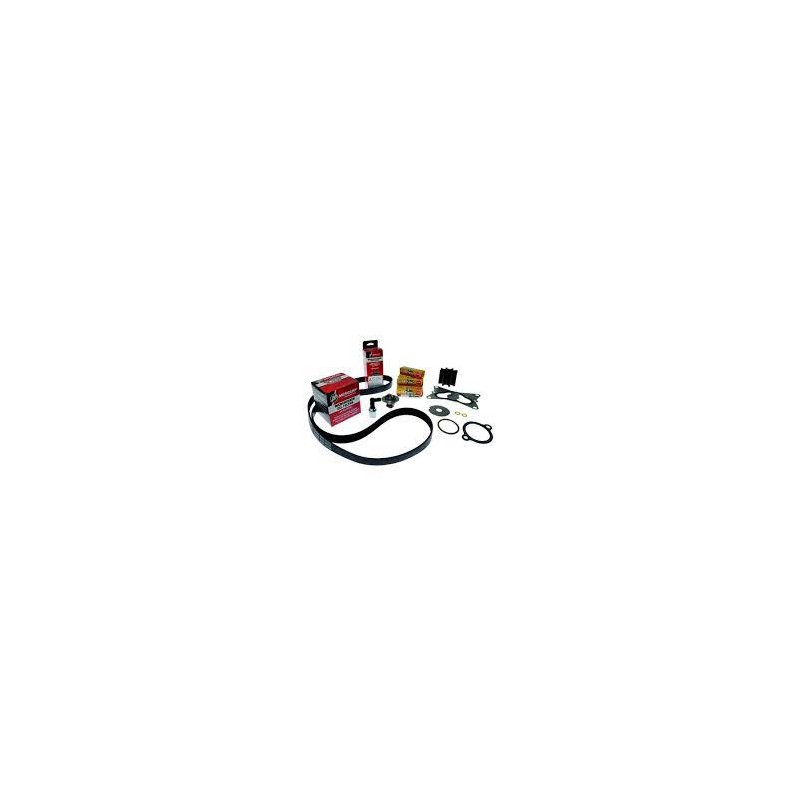 SERV KIT-300 HRS V8