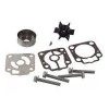 KIT RIPARAZIONE GIRANTE 