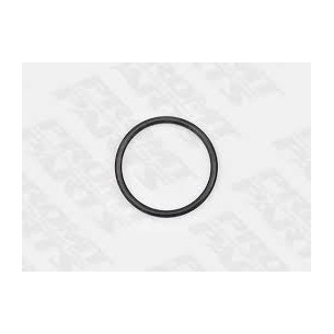 O'RING TAPPO ANODO SCAMBIATORE