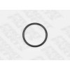 O'RING TAPPO ANODO SCAMBIATORE