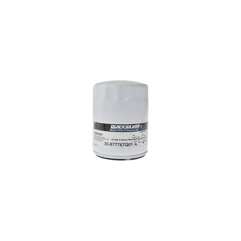 FILTRO BENZINA L4