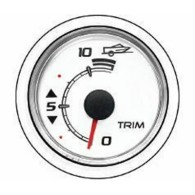 INDICATORE TRIM MERCURY