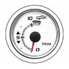 INDICATORE TRIM MERCURY