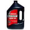 OLIO MARINE 10W30 4 STROKE