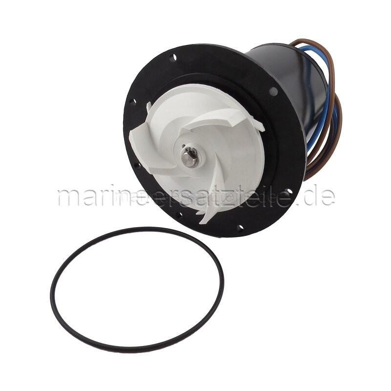 J814724801 MOTORE WC