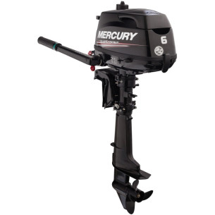 MOTORE MERCURY F 6