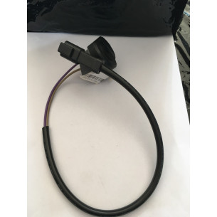0176361 CICALINO