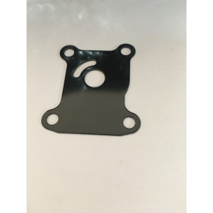 0328755 PIATTELLO GIRANTE EVINRUDE 25
