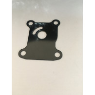 0328755 PIATTELLO GIRANTE EVINRUDE 25