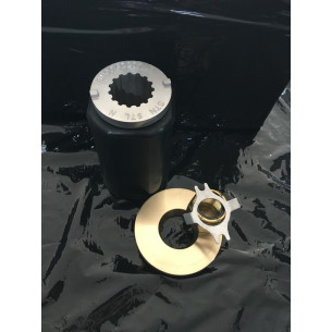 835290Q1 PARASTRAPPO MERCURY