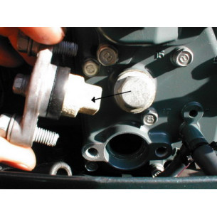 69J113011100 ANODO COMPLETO YAMAHA