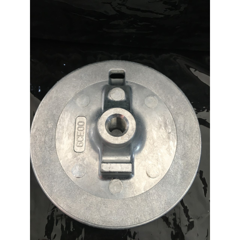 6e5453710100 ANODO PINNA