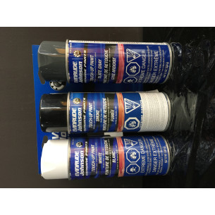 0351907 PITTURA EVINRUDE BLU