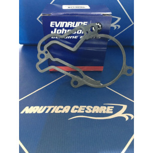 5037344 GUARNIZIONE BASE 2.5HP