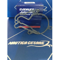 5037344 GUARNIZIONE BASE 2.5HP