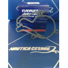 5037344 GUARNIZIONE BASE 2.5HP