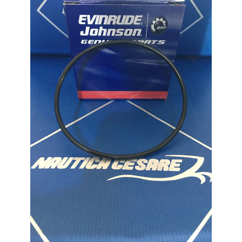 0326849 O-RING