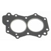 0329103 HD GASKET/6HP