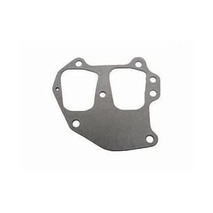 0318924 Guarnizione pacco lamellare Johnson, Evinrude